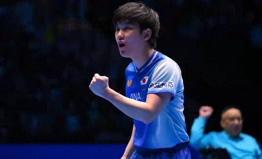 包含奥地利队逆转法国队，张本智和统治全场的词条