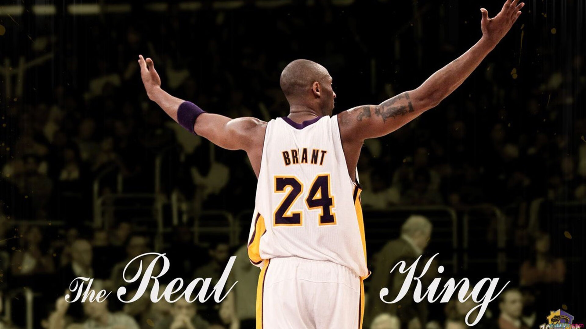 雨夜奇迹，希腊神话铁壁前，英格兰玫瑰绽放巴黎