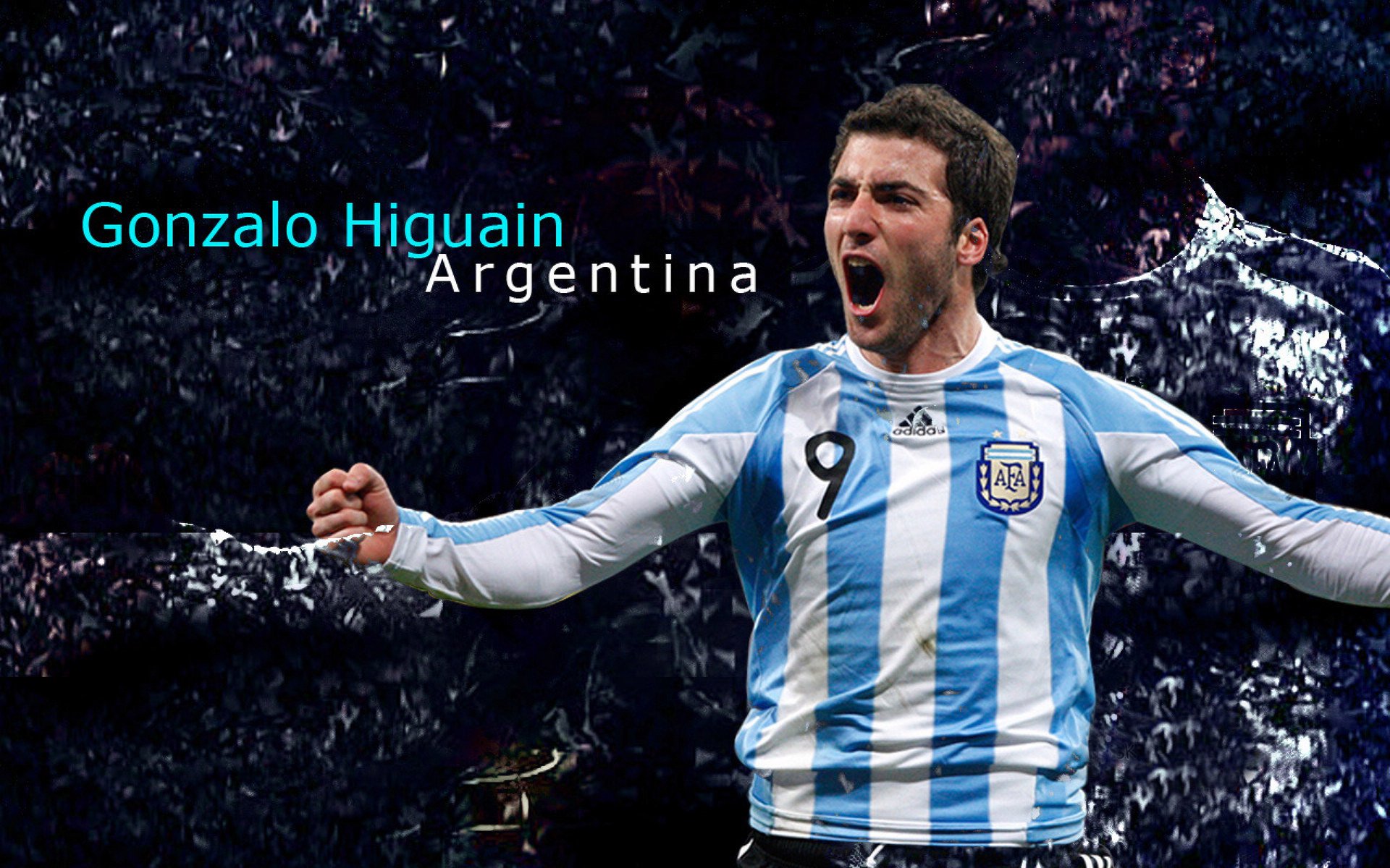 南美的雨声,当野性击穿华美乐章